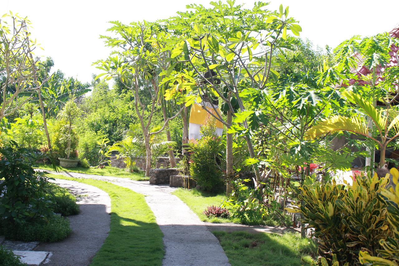 Taman Padi Villa Амед Екстер'єр фото
