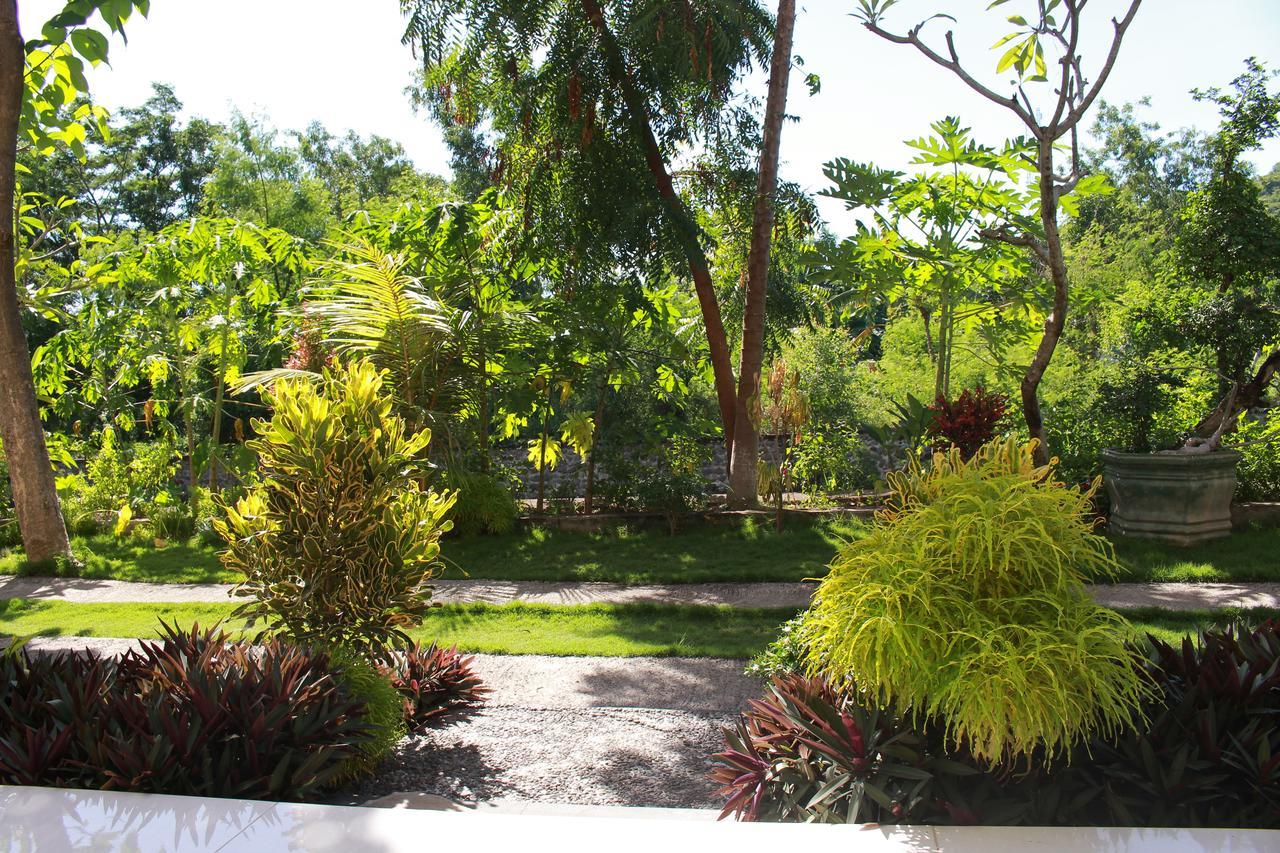 Taman Padi Villa Амед Екстер'єр фото